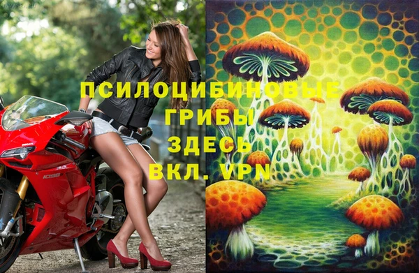 Альфа ПВП Аркадак