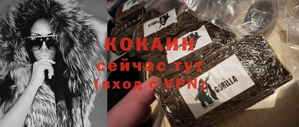 кокс Арсеньев